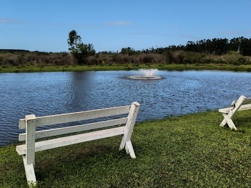 Tratamento com Ibogaína em Santa Catarina - 6fdc77231111b09fff7b3a23f036ca99.jpeg