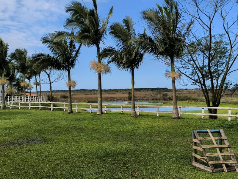 Tratamento com Ibogaína em Curitiba Paraná - c7c4d8e8b91a7c77a10444e7edff971e.jpeg